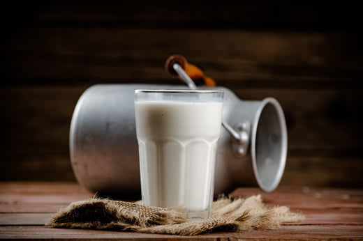 Rohmilch vs. pasteurisierte Milch: Was sind die Unterschiede?