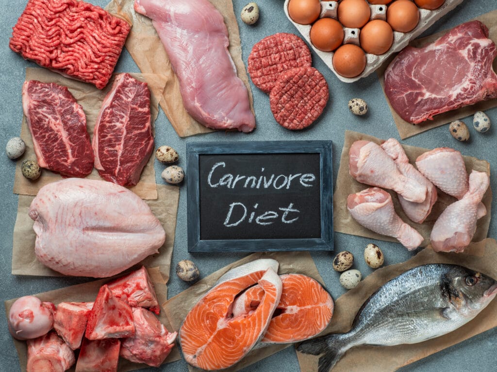 Carnivore Diät